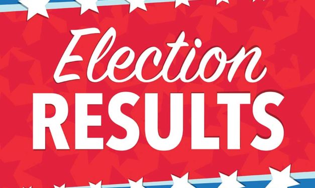 2019 primary election results