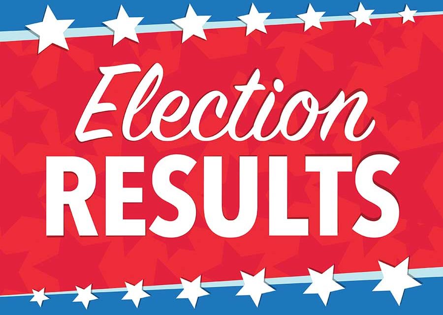 2019 primary election results