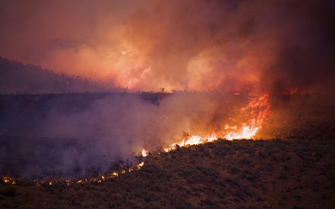Toolkit — Wildfire & Extreme Heat Preparedness