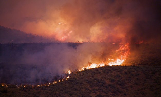 Toolkit — Wildfire & Extreme Heat Preparedness
