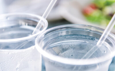 Bellingham single-use plastics ordinance takes effect July 31.