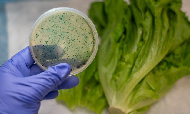 Check your labels — romaine lettuce linked to E.Coli outbreak