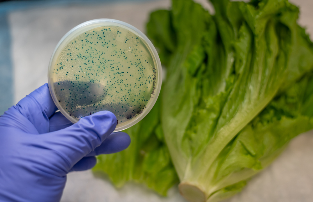 Check your labels — romaine lettuce linked to E.Coli outbreak
