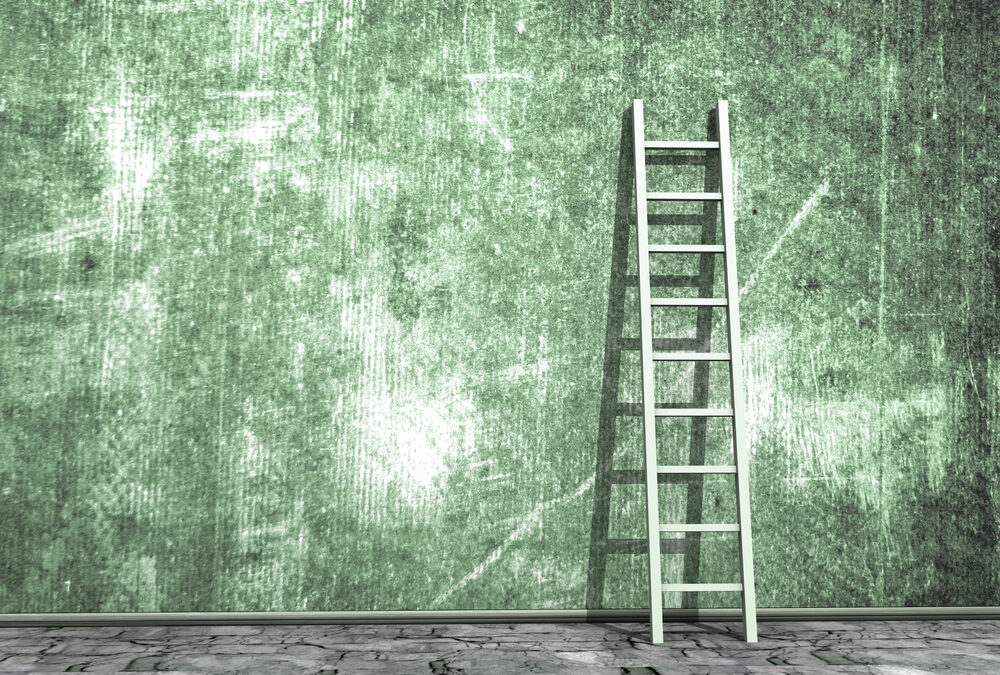 Describing the career ladder at your business can attract workers