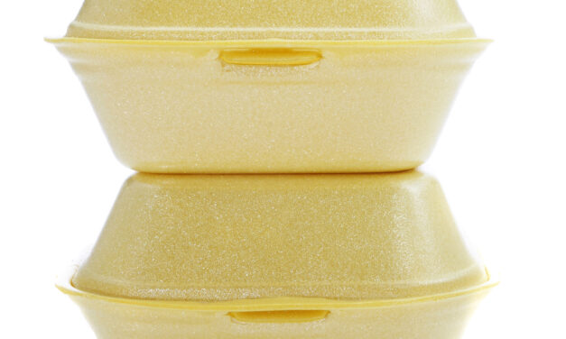 Certain foodservice containers made from expanded polystyrene banned starting June 2024